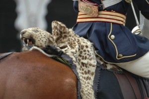 Cavalier à la peau de léopard