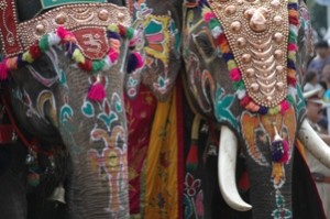 Elephants aux décorations dorées et colorées