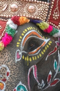 Oeil décoré d éléphant