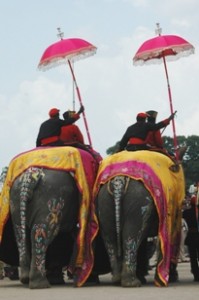 procession elephants