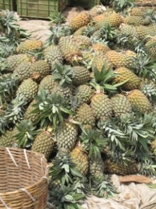 ananas-au-marche-de-devaraja