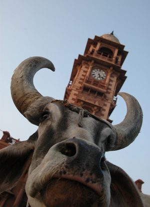 Tour_horloge_Jodhpur