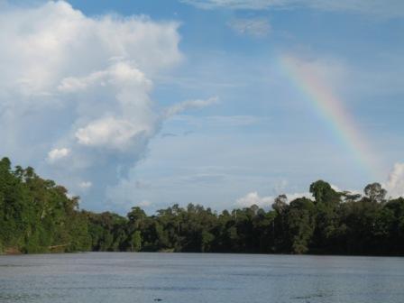 Rainbow_Borneo