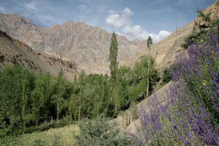 Trek_Ladakh_Phanjila
